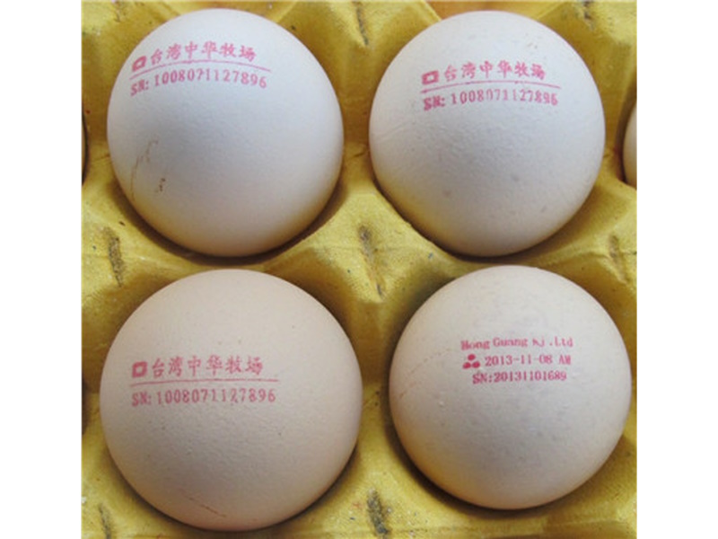 Egg Printing System